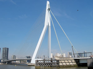 Erasmus Bridge: Erasmus Bridge Rotterdam Holland