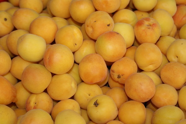 Close up on apricots