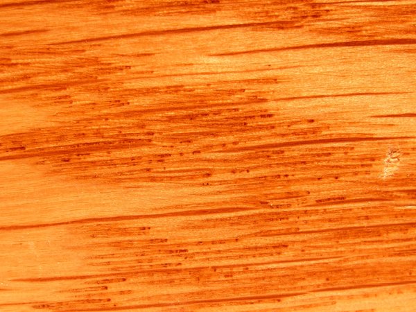 Wood textures 1