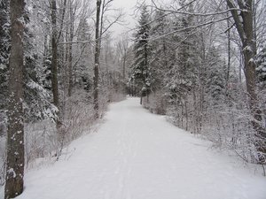Winter lane
