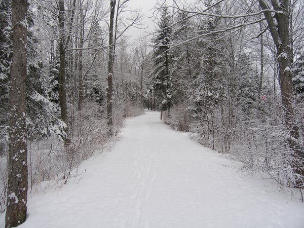 Winter lane: 