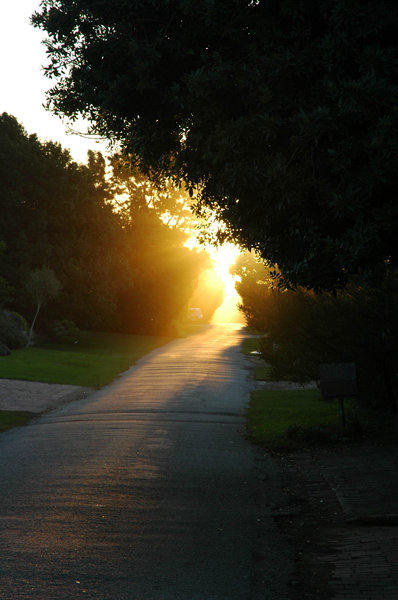 Dawn down the road.: Sunrise down a small lane on Leisure Island, Knysna, South Africa.NB: Credit to read 