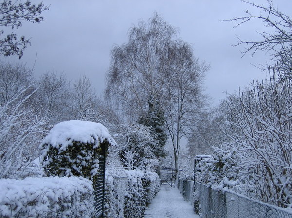 snowy garden way