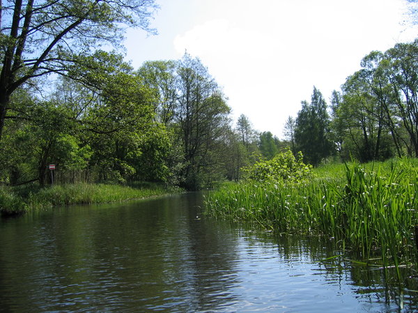 channels in Spree Forest
