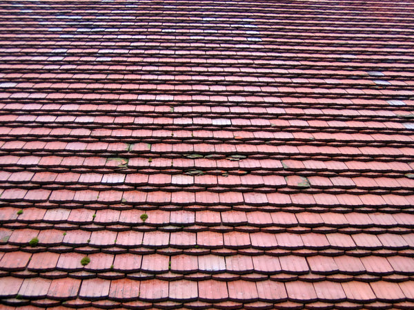 beaver's tails roof tiles