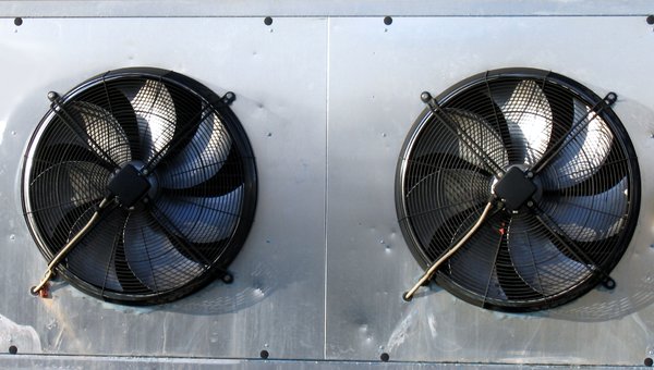 two fans