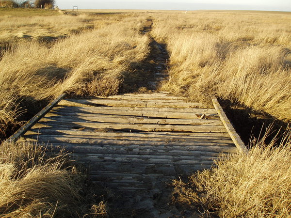 A little bridge in the middle : A little bridge outside the banks at the northern sea.