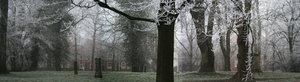 winter: icy day in a park