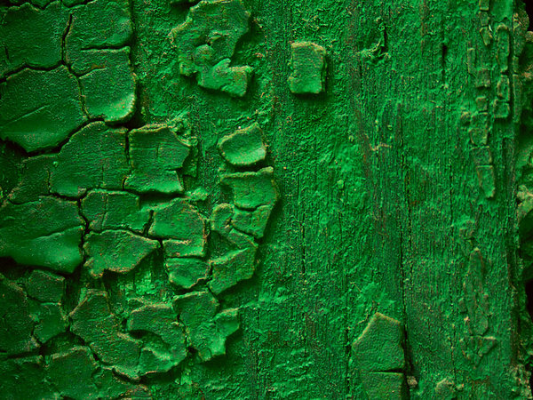 Texture 15: Textures from around.
