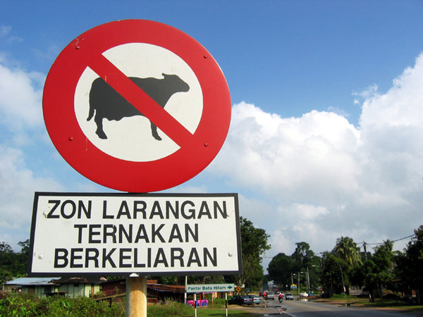 No Cows!