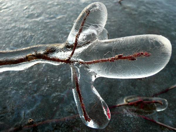 Ice sculptures: No description
