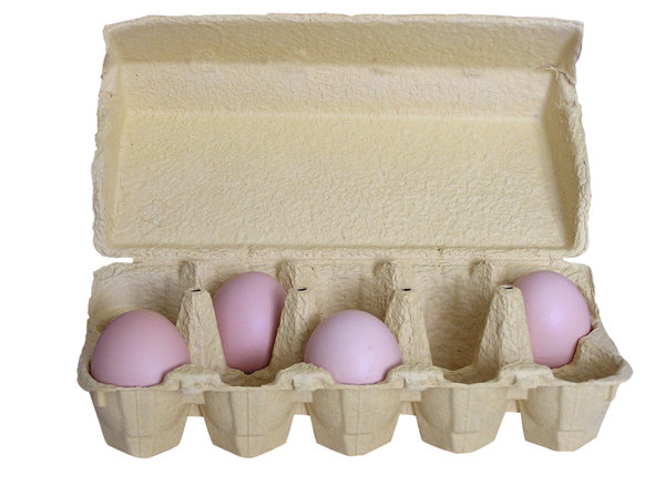 Egg: Eggs  and egg container