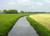 Dutch grassland with water