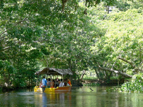 Tropical River: Lazy day on the river in the Dominican Republic