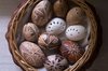 Huevos de Pascua 1