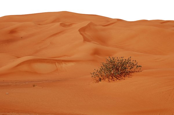 Desert: Hatta, Oman Desert.
