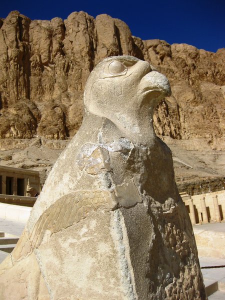 temple of Hatshepsut 26