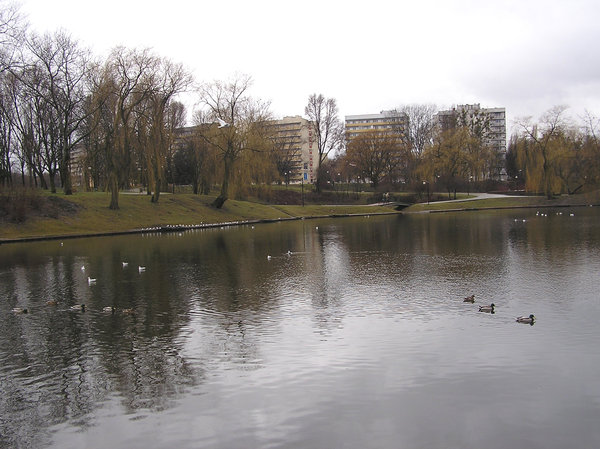 Lake in winter park