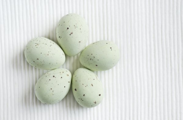 5 little green eggs: Little green eggs on white background
