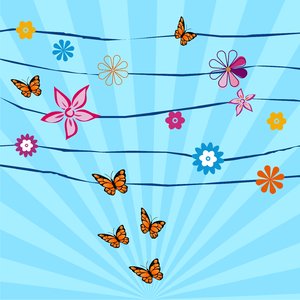 Butterflies & flowers
