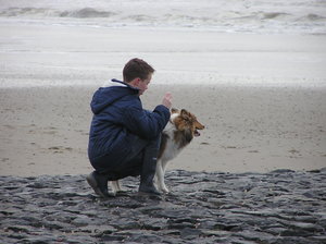 niño y perro en la playa