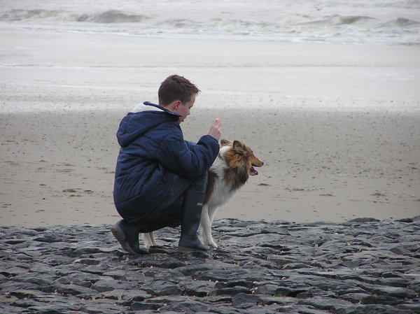 niño y perro en la playa: 