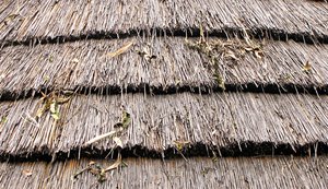 thatched roof
