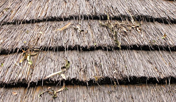 thatched roof: 