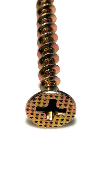 Single stainless screw 3
