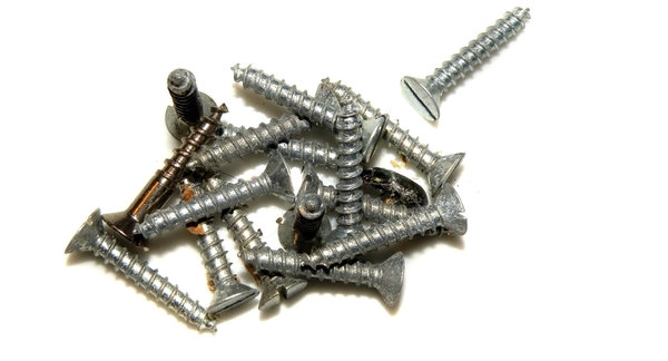 Dirty screws with beetle