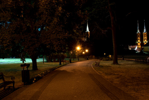 Night pavement 5