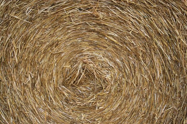 Hay roll texture