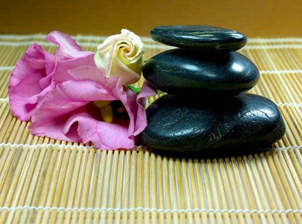 What You Need To Have Asked Your Teachers About Chiropractor