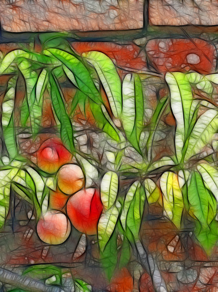 Peaches, an abstract