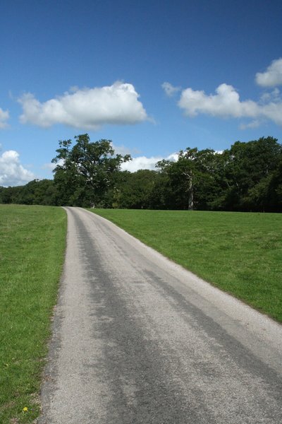 Country road: A minor country road in West Sussex, England, in summer.