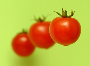 cherry tomatoes 1