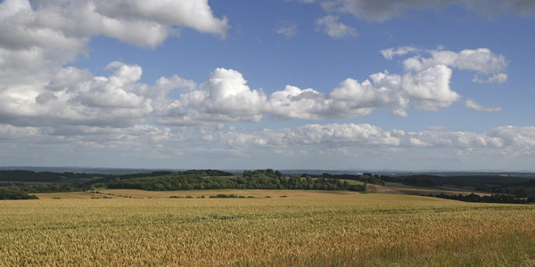 Hampshire landscape: Summer landscape of Hampshire, England. Three shot photomerge.