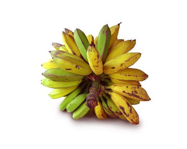 Going Bananas in Brazil