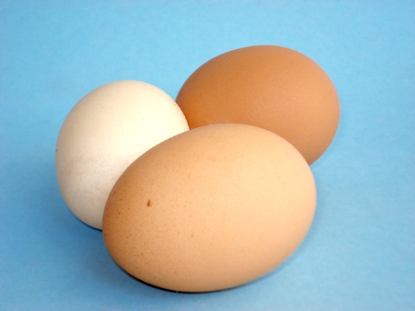 Chicken Eggs 2