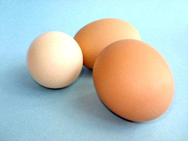 Chicken Eggs 4