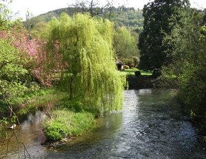 River in Midlands