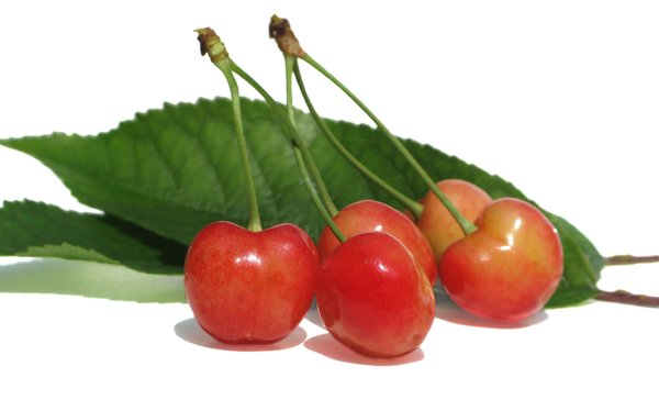 cherries and leaves