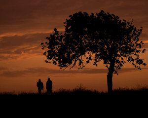 Sunset Stroll: Deep orange sunset, a hawthorn tree and two friends enjoying a walk.