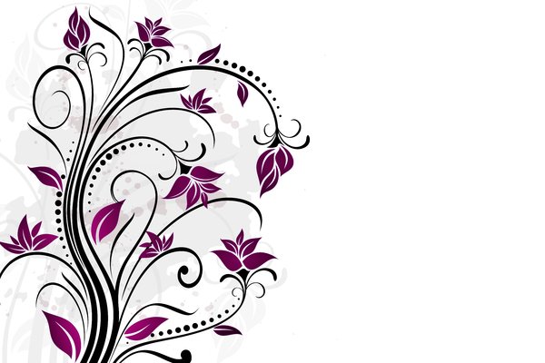 Yet Another Floral 1: Colorful floral elements on a white background. Which do you like most? ;)