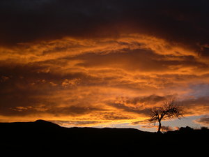 Sunset Andalucia