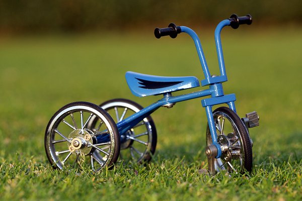 Tricycle on the grass 2