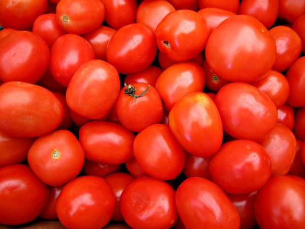 Roma tomatoes: a large quantity of ripeRoma tomatoes