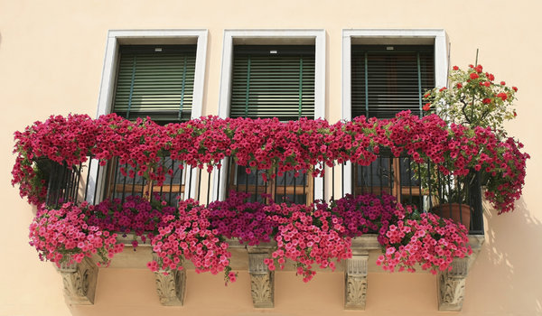 Floral balcony