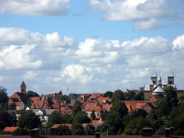 Viborg skyline