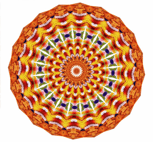 coral colour wheel